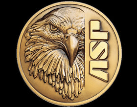 Armament Systems and Procedures (ASP)