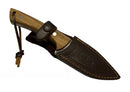 Muela Col-9OL